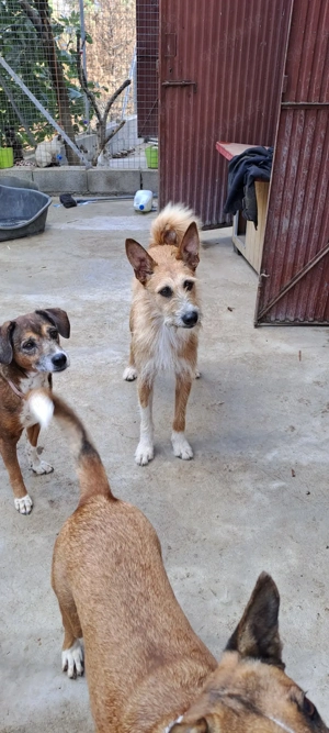 KIKA sucht ihre Herzensmenschen Bild 6