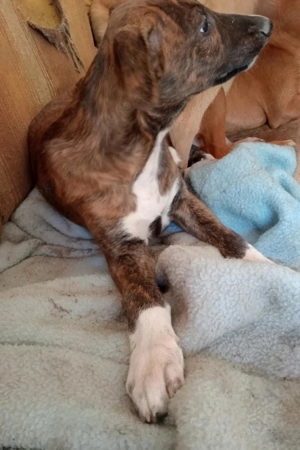 KIKA sucht ihre Herzensmenschen Bild 9