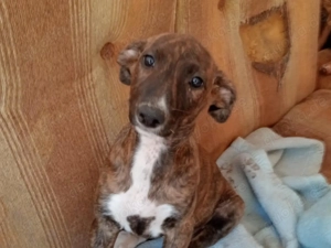 KIKA sucht ihre Herzensmenschen Bild 7