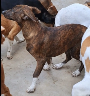 KIKA sucht ihre Herzensmenschen Bild 5