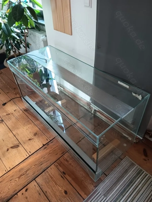 Terrarium aus Glas