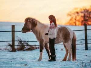 Mithilfe & Spaziergänge mit Ponys