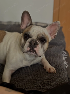  schweren Herzens in liebevolle Hände abzugeben  :(