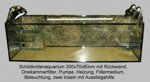 Schildkröten Aquarium 200x70x60cm mit 2 Inseln Aquarien