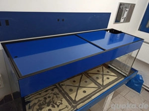 Aquarium, Sonderanfertigung, Meerwasser, Süßwasser