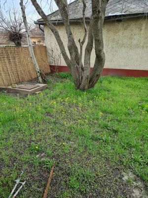 Ferienhaus in Ungarn, Region Bacs Kiskun, Ort:6077 Orgovany zu vermieten Bild 5