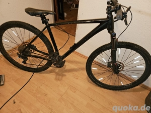 bulls hardtail 2 2021