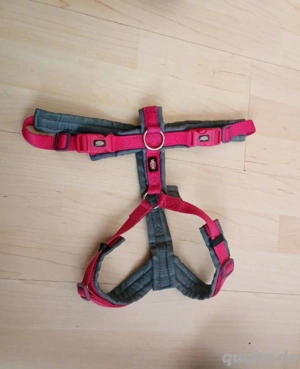 GeSchirr Für Mittelgroße Hunde 