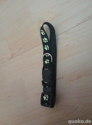 Hunde Leucht Halsband 
