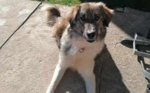 Tequila lässt dein Herz aufgehen!