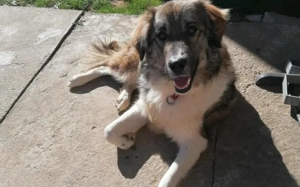 Tequila lässt dein Herz aufgehen! Bild 4