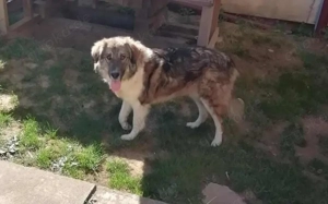 Tequila lässt dein Herz aufgehen! Bild 5