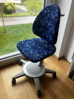 Höhenverstellbarer Schreibtischstuhl Moll Maximo Forte