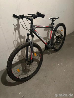 Bergsteiger Detroit 29  Mountainbike