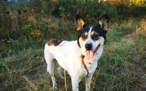 Noa ist bereit für ein neues Leben