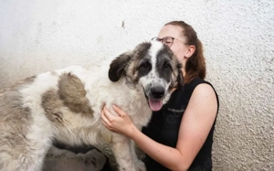 Bunty wartet auf dich