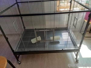 vogelvoliere montana garges