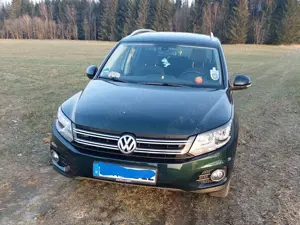 Volkswagen Tiguan Tiguan 2.0 TDI DPF 4Motion DSG Lounge Track Bild 2