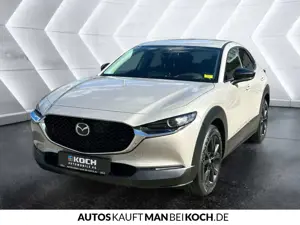 Mazda CX-30 e-SKY-G 2.0 AT HOMURA LED NAV BOSE 360view Bild 3