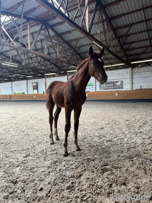 Casino Royal - Nachwuchshoffnung mit Ausstrahlung 