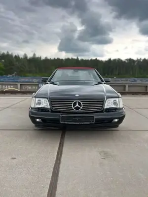 Mercedes-Benz SL 280 Mercedes SL280 R129 Special Edition Bild 2