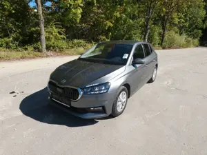 Skoda Fabia Selection1.0TSI DSG LED SHZ Kessy Virtual