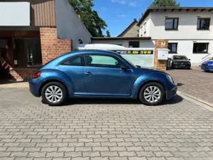 Volkswagen Beetle Design Sitzheizung PDC