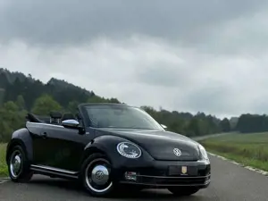 Volkswagen Beetle Cabriolet 50´s Design/Bi-Xenon/Leder/TOP/