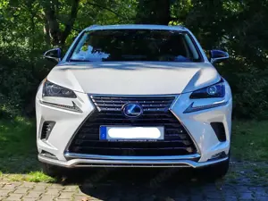 Lexus NX 300h NX 300h Style Edition  LED, KAM, Leder, Sitze... Bild 3