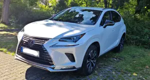 Lexus NX 300h NX 300h Style Edition  LED, KAM, Leder, Sitze...