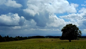 Offenstallplatz frei 