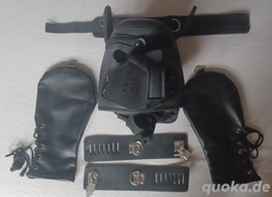 erziehung zum doogy gesucht