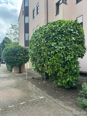 Gute Arbeit  für eine fair Preis