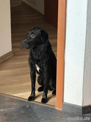 Pflegeplatz oder zu Hause gesucht