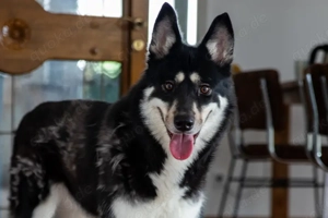 Bonita - verzaubert sie auch dich?