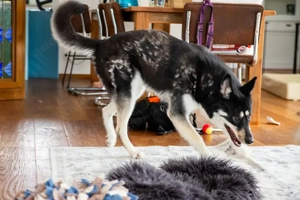 Bonita - verzaubert sie auch dich? Bild 2