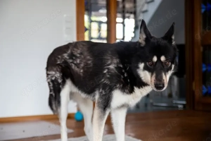 Bonita - verzaubert sie auch dich? Bild 5