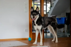 Bonita - verzaubert sie auch dich? Bild 6