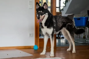 Bonita - verzaubert sie auch dich? Bild 4