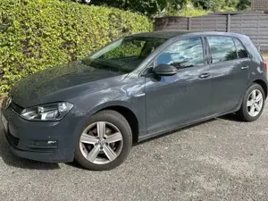 Volkswagen Golf Golf 1.4 TGI BlueMotion Comfortline