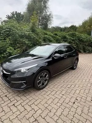 Kia XCeed PLATINUM EDITION | Pano | JBL | Vollausstattung Bild 2