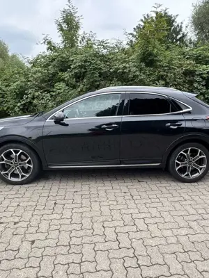 Kia XCeed PLATINUM EDITION | Pano | JBL | Vollausstattung Bild 3