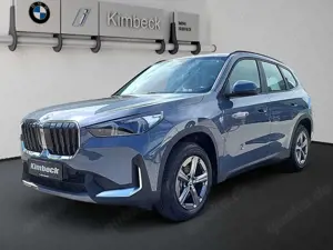 BMW X1 xDrive20d INDIVI STORMBAY LED ParkAss KeyLess