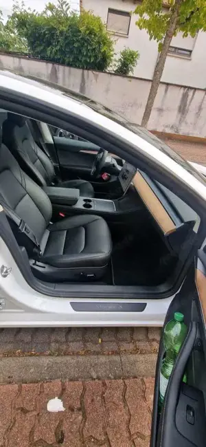 Tesla Model 3 Performance Bild 3