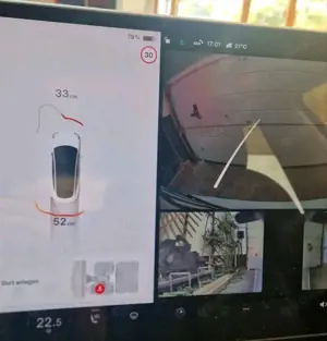 Tesla Model 3 Performance Bild 5