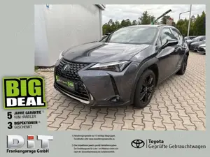 Lexus UX 250h Style+ Edition LED, SHZ, AppleCarPlay