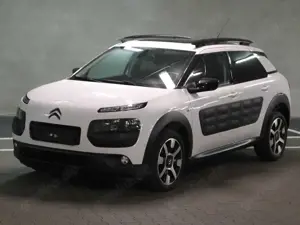 Citroen C4 Cactus HDI 1.6 Business Class, VOLL