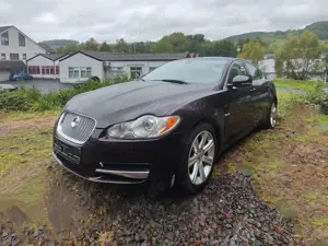 Jaguar XF XF 3.0 V6 Diesel Luxury