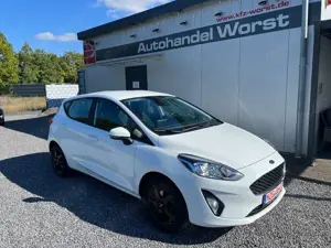 Ford Fiesta mehrere Modelle vorrätig-Garantie