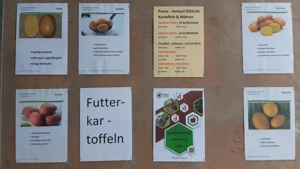 Speisekartoffeln & Futtermöhren